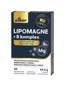 Kapseln mit liposomalem Magnesiu...