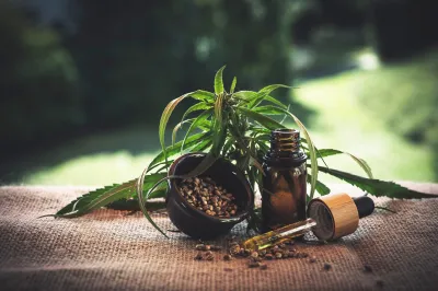 CBD Info-Katalog CBD Info-Katalog