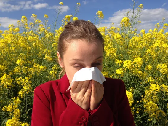 Allergien im Frühling