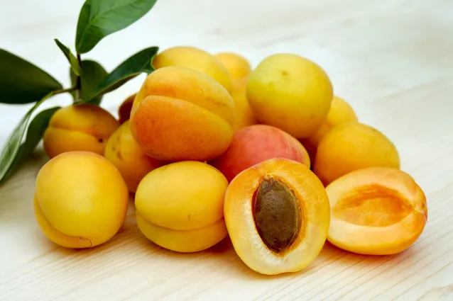 Aprikosenkerne zur Unterstützung des Immunsystems