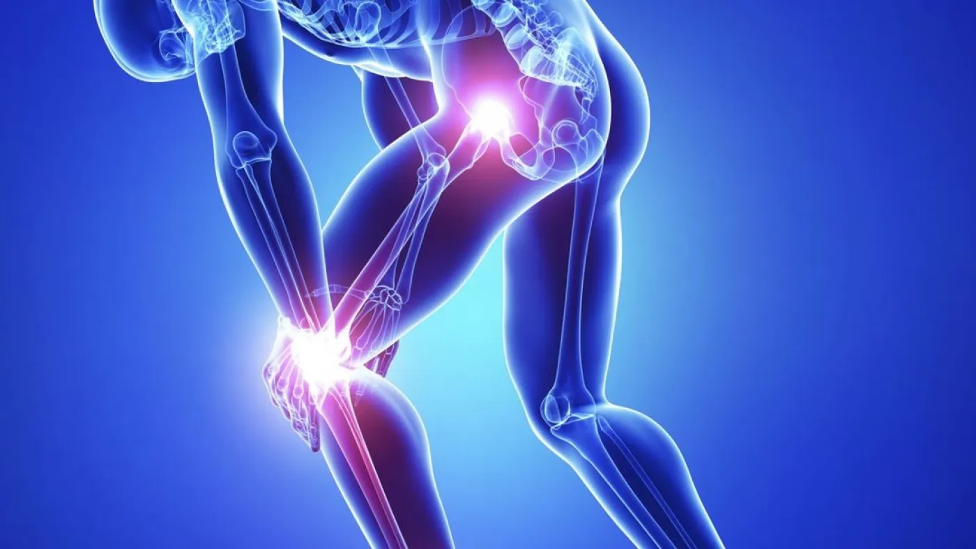 Kollagen zur Stärkung der Gelenke, Knochen und Muskeln