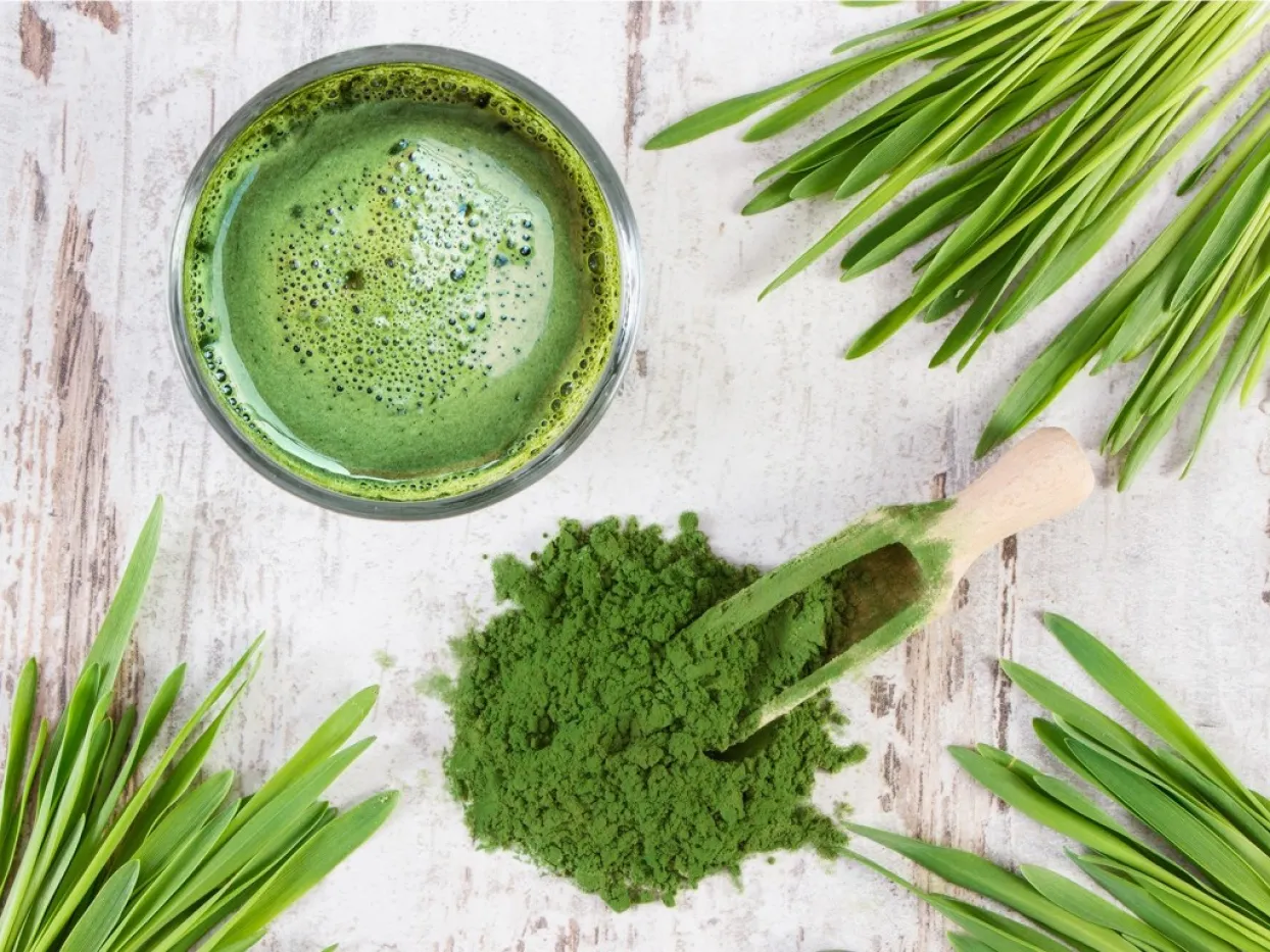 Grüne Lebensmittel, das Superfood für Ihre Gesundheit, Matcha-Pulver