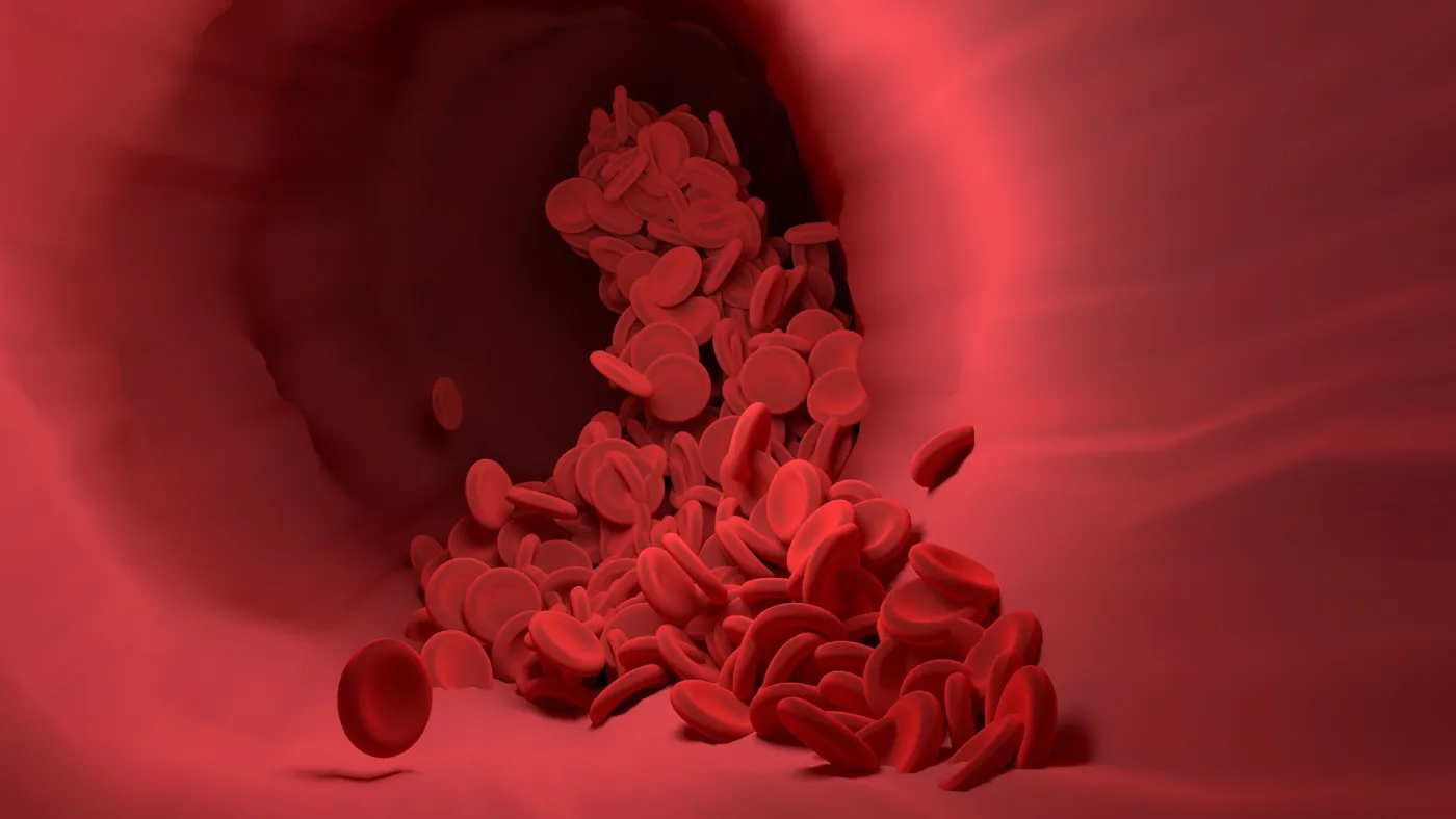 roter Blutkörperche