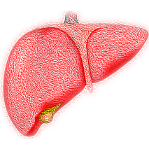 Die Gelbsucht - Wie gefährlich ist sie und was hilft?